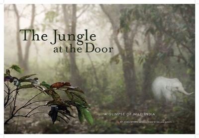 The Jungle At The Door A Glimpse Of Wild India