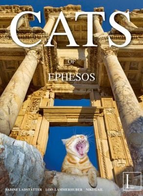 Die Katzen Von Ephesos Efesin Kedileri The Cats Of Ephesos Cats Of Ephesos
