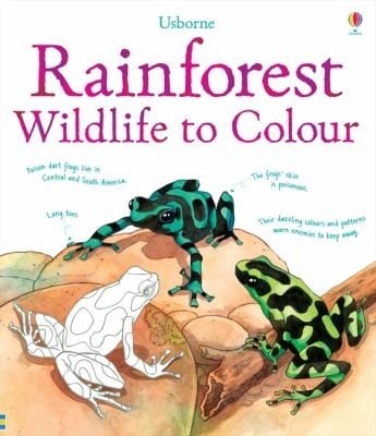 Rainforest Wildlife To Colour