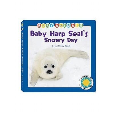Baby Harp Seals Snowy Day