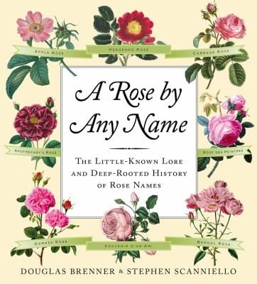A Rose by Any Name by Douglas Brenner and Stephen Scanniello