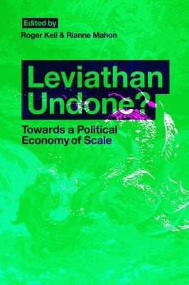 Leviathan Undone Towards A Political Economy Of Scale