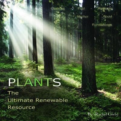 20 Amazing Plants And Their Practical Uses