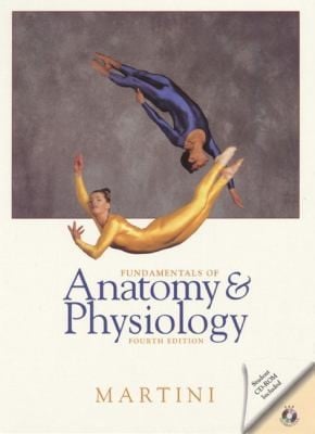 Fundamentals of Anatomy  Phys