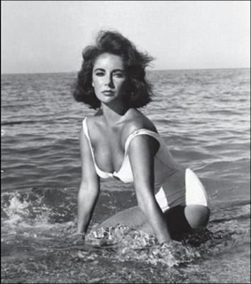 Elizabeth Taylor Journal