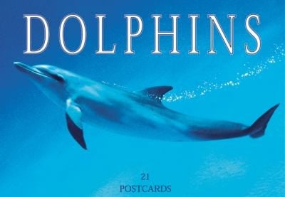 Dolphins Postcard Book