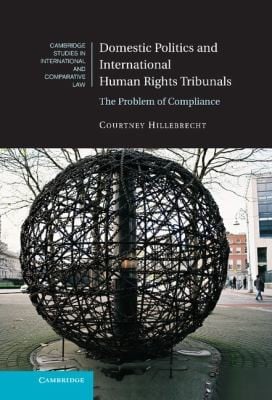 Domestic Politics And International Human Rights Tribunals The Problem Of Compliance