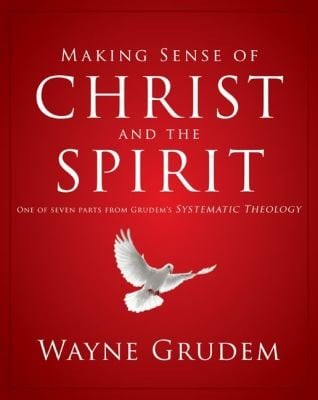 Making Sense of Christ and the Spirit
            
                Making Sense of