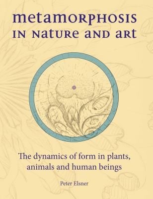 Metamorphosis In Nature And Art The Dynamics Of Form In Plants Animals And Human Beings