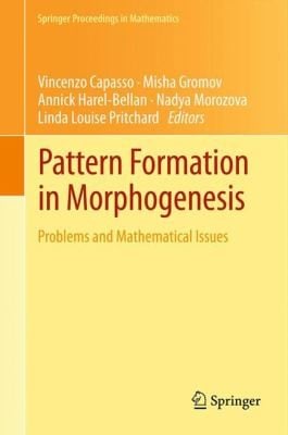 Pattern Formation in Morphogenesis
            
                Springer Proceedings in Mathematics