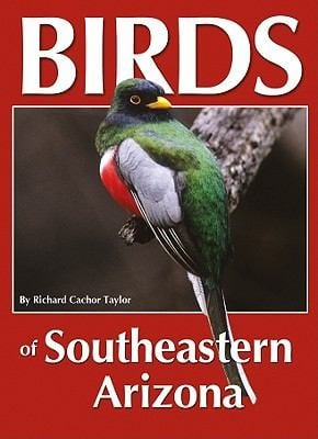 Birds Of Southeastern Arizona
