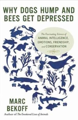 Why Dogs Hump and Bees Get Depressed