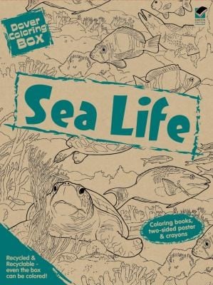 Sea Life Dover Coloring Box