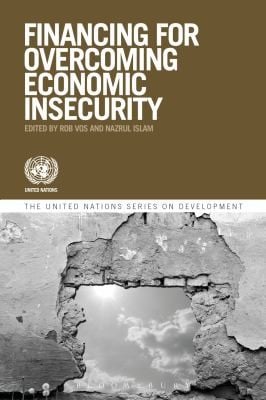 Development Financing Economic Insecurity