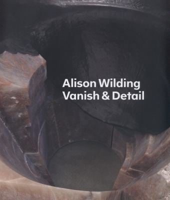Alison Wilding Vanish Detail