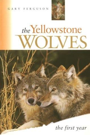 The Yellowstone wolves