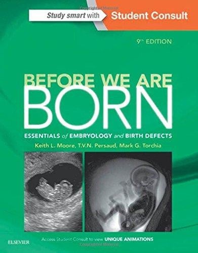 Before we are born