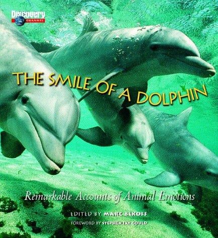 The smile of a dolphin