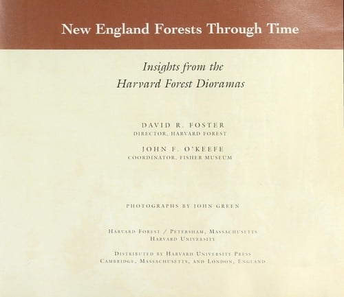 New England forests through time