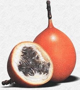 Granadilla (Passiflora ligularis Juss) : caracterización ecofisiológica del cultivo