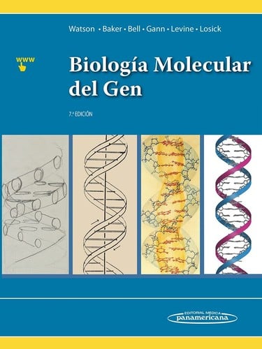Biología molecular del gen