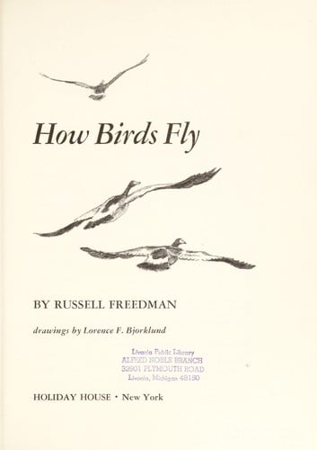 How birds fly