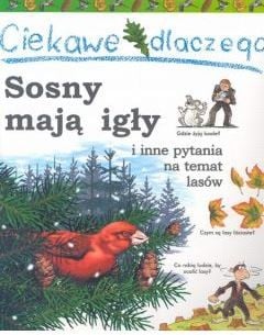 Ciekawe dlaczego sosny mają igły