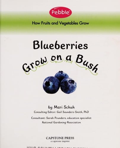 Blueberries grow on a bush