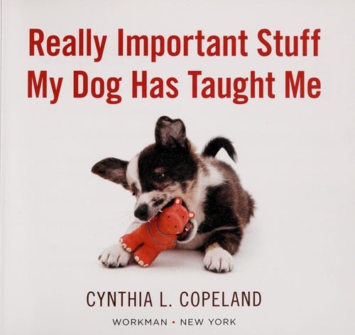 Really important stuff my dog has taught me