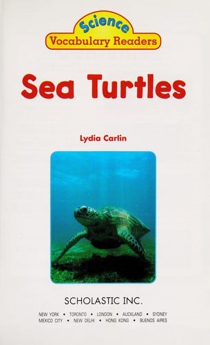 Sea turtles