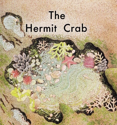 The hermit crab
