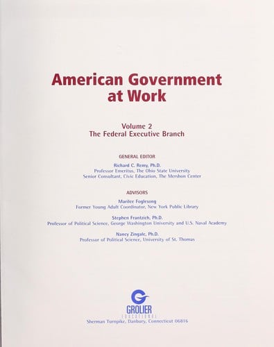 American government at work