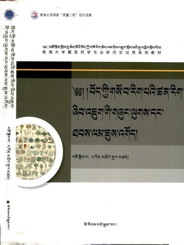 bod kyi gso ba rig pa'i tshan rig zhib 'jug gi gzhung lugs dang thabs lam jus 'god