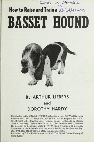 How to raise and train a basset hound