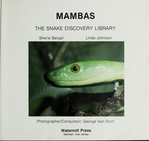 Mambas
