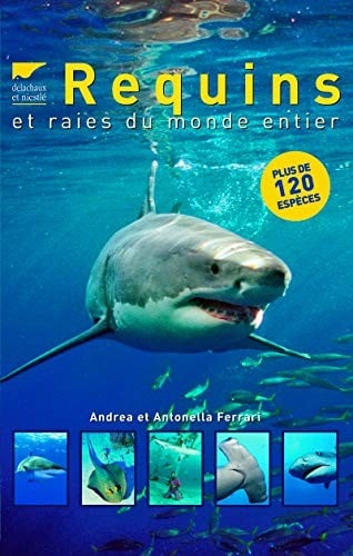 Requins et raies du monde entier