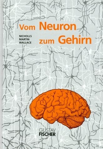 Vom Neuron zum Gehirn: Zum Verständnis der zellulären und molekularen Funktion des Nervensystems (German Edition)