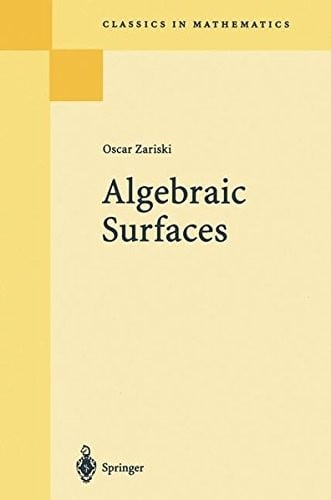 Algebraic surfaces