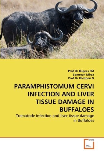 PARAMPHISTOMUM CERVI INFECTION AND LIVER TISSUE DAMAGE IN BUFFALOES: Trematode infection and liver tissue damage in Buffaloes