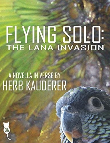 Flying Solo: The Lana Invasion