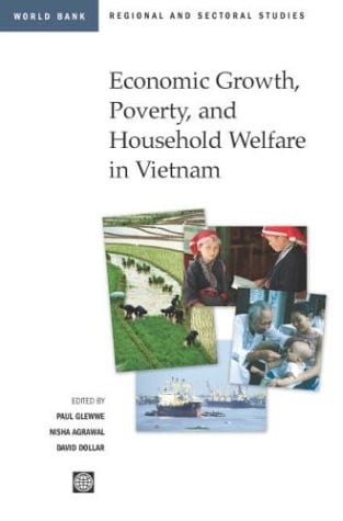 Economic growth, poverty, and household welfare in Vietnam