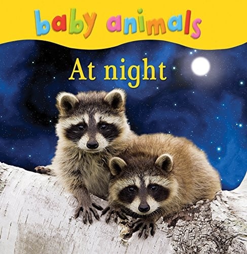 Baby Animals at Night.