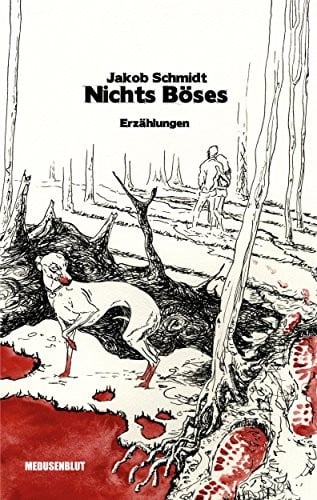 Nichts Böses: Erzählungen (German Edition)