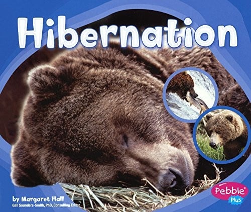 Hibernation (Turtleback School & Library Binding Edition) (Patterns in Nature)