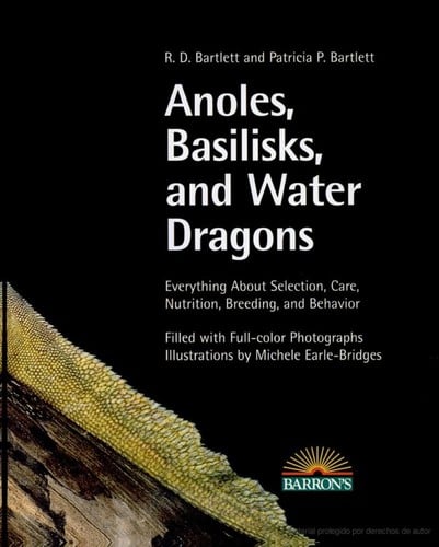 Anoles, basilisks, and water dragons