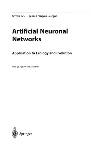 Artificial Neuronal Networks