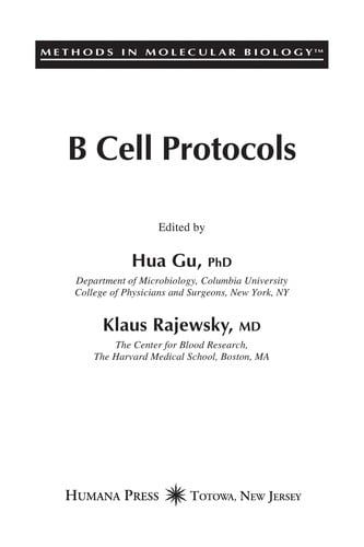 B cell protocols