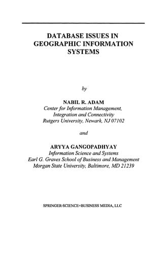Database Issues in Geographic Information Systems