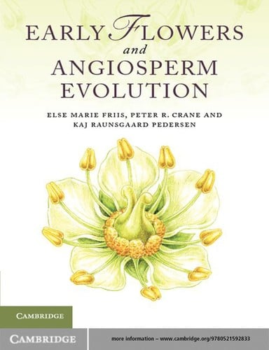 Early flowers and angiosperm evolution