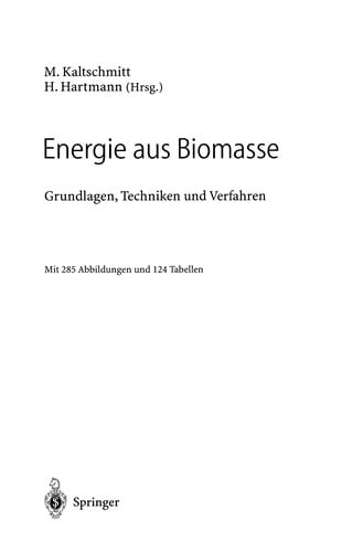 Energie aus Biomasse